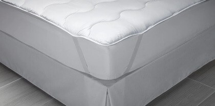 Ανωστρώματα | Γαρύφαλλο - λευκά Είδη